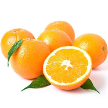 Natural High Quality Sweet Fresh Citrus Mandarin Navel Orange